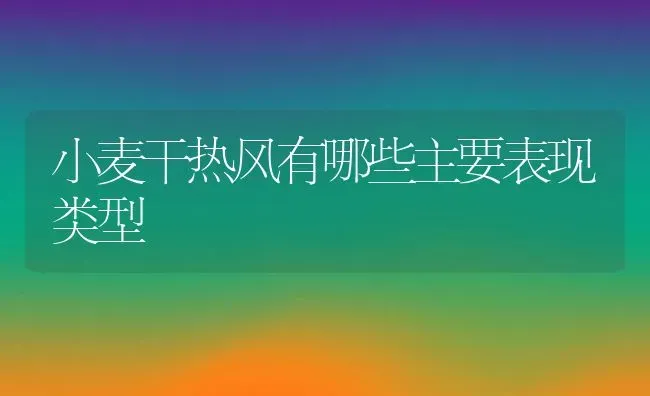 小麦干热风有哪些主要表现类型 | 养殖学堂