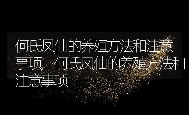 何氏凤仙的养殖方法和注意事项,何氏凤仙的养殖方法和注意事项 | 养殖科普