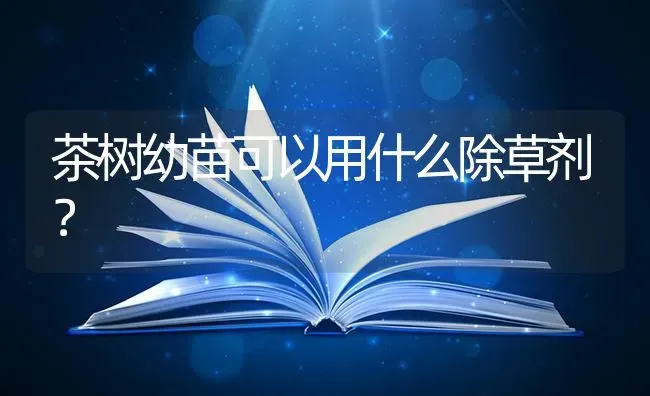 茶树幼苗可以用什么除草剂? | 养殖知识