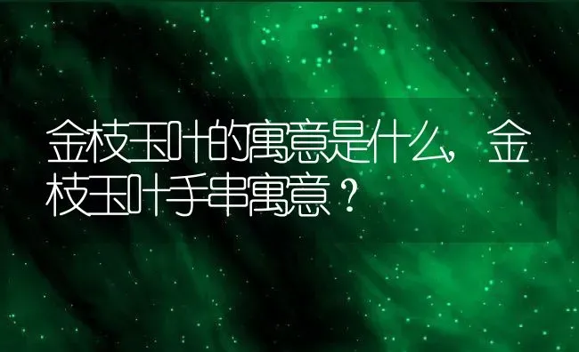 金枝玉叶的寓意是什么,金枝玉叶手串寓意？ | 养殖科普