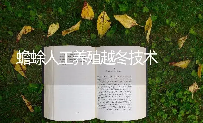 蟾蜍人工养殖越冬技术 | 养殖技术大全