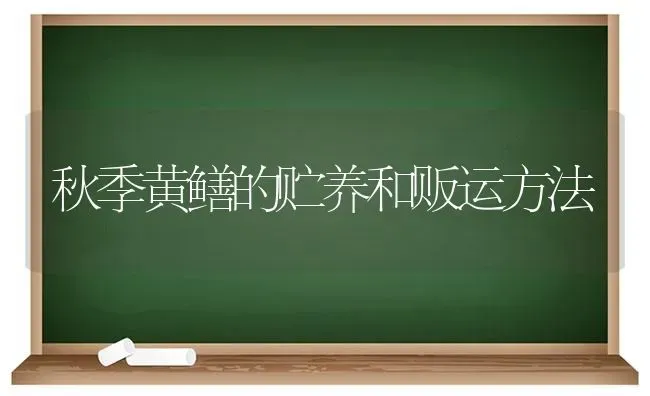 秋季黄鳝的贮养和贩运方法 | 养殖知识