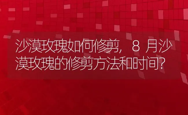 沙漠玫瑰如何修剪,8月沙漠玫瑰的修剪方法和时间？ | 养殖学堂