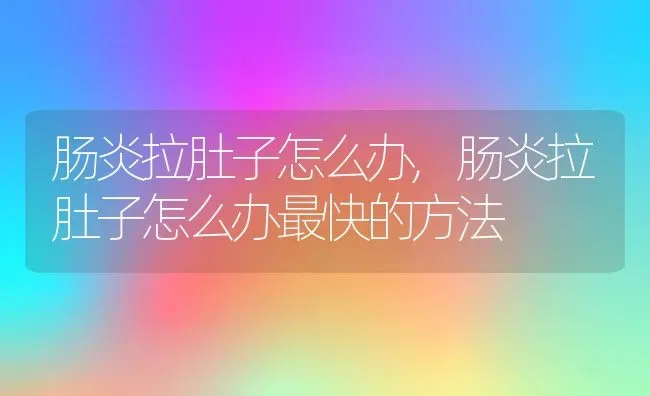 肠炎拉肚子怎么办,肠炎拉肚子怎么办最快的方法 | 养殖科普