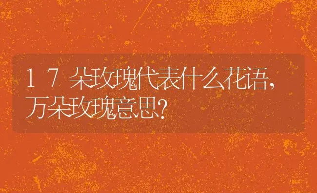 17朵玫瑰代表什么花语,万朵玫瑰意思？ | 养殖科普