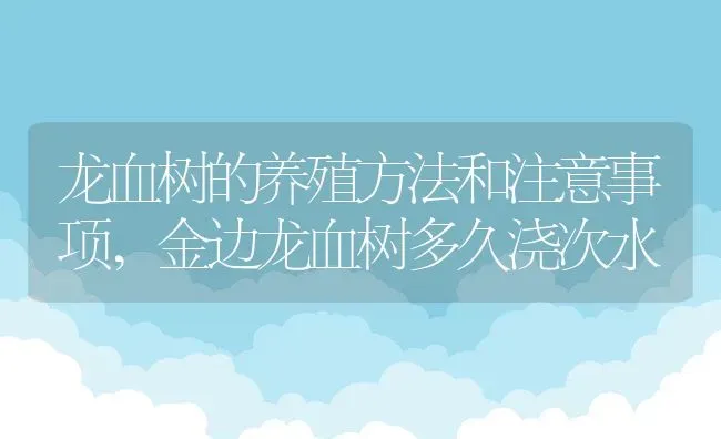 龙血树的养殖方法和注意事项,金边龙血树多久浇次水 | 养殖学堂