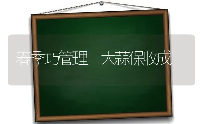 春季巧管理 大蒜保收成 | 养殖知识