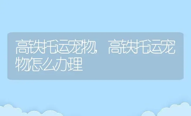 虾类靠什么呼吸,深海鱼虾类都有什么 | 养殖科普