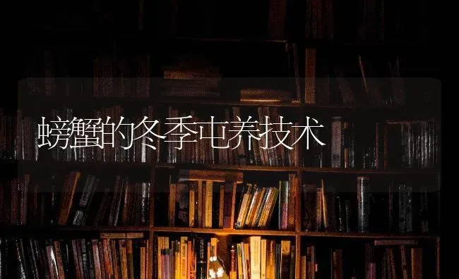 螃蟹的冬季屯养技术 | 养殖知识