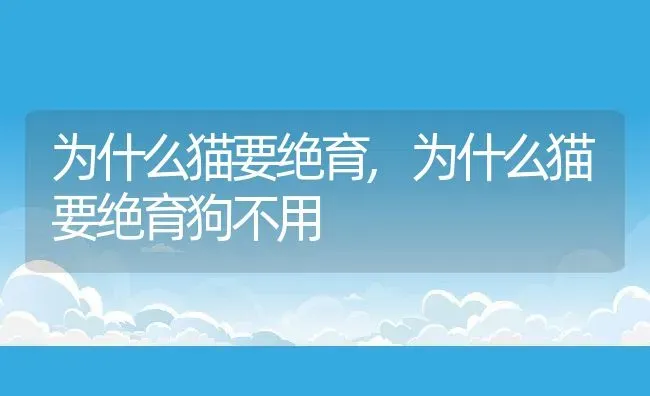 为什么猫要绝育,为什么猫要绝育狗不用 | 养殖资料