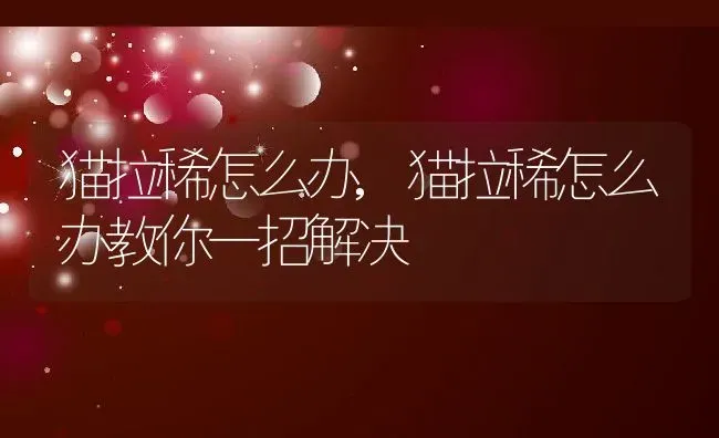 猫拉稀怎么办,猫拉稀怎么办教你一招解决 | 养殖资料