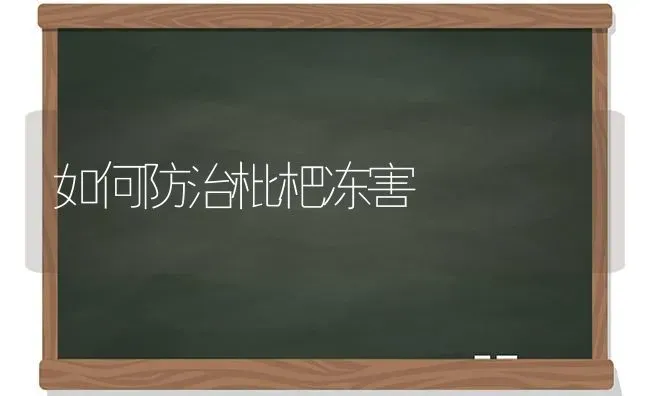 如何防治枇杷冻害 | 养殖技术大全