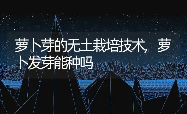 萝卜芽的无土栽培技术,萝卜发芽能种吗 | 养殖学堂