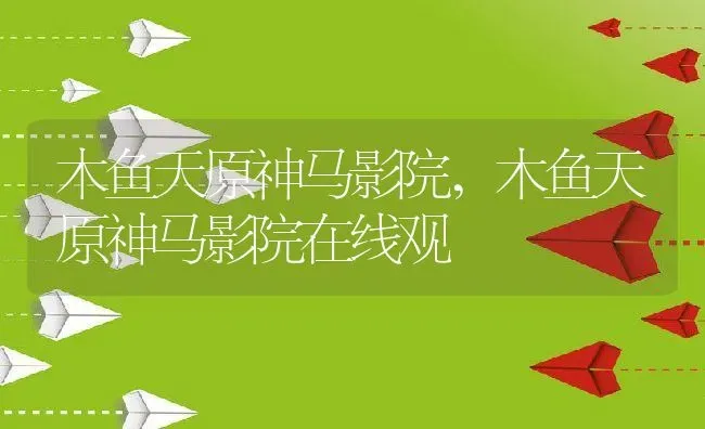 木鱼天原神马影院,木鱼天原神马影院在线观 | 养殖科普
