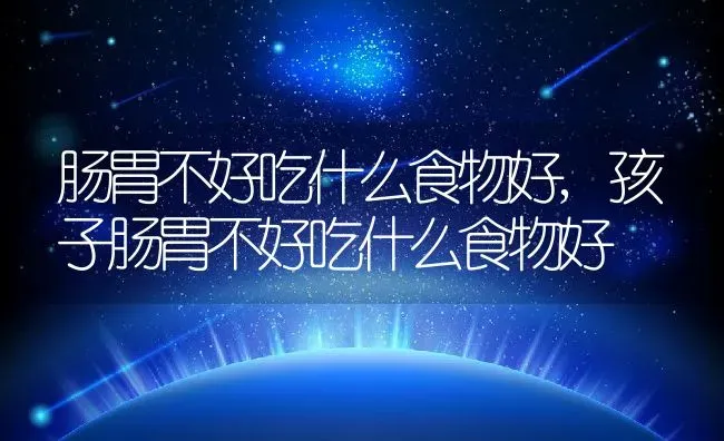 肠胃不好吃什么食物好,孩子肠胃不好吃什么食物好 | 养殖科普