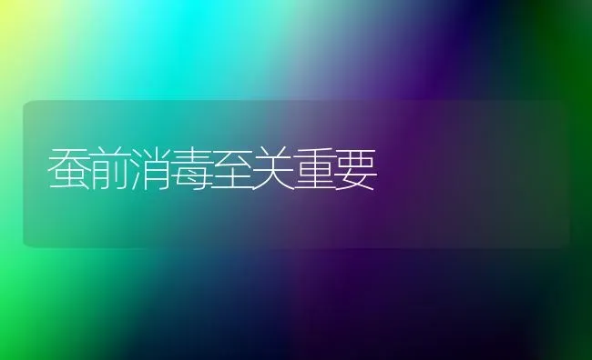 蚕前消毒至关重要 | 养殖技术大全