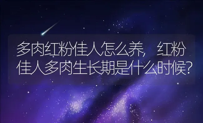 多肉红粉佳人怎么养,红粉佳人多肉生长期是什么时候？ | 养殖科普