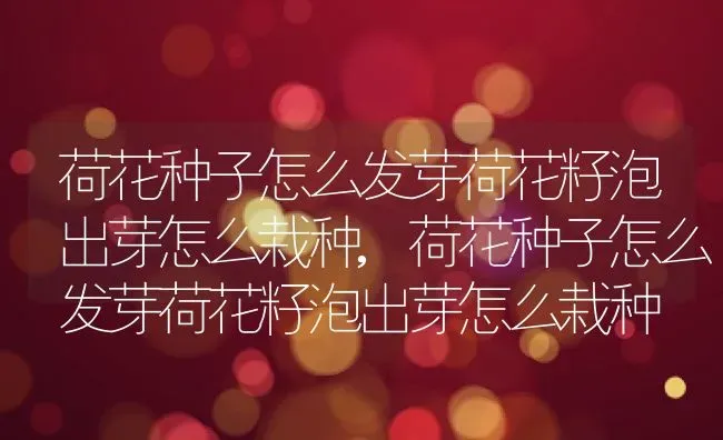 荷花种子怎么发芽荷花籽泡出芽怎么栽种,荷花种子怎么发芽荷花籽泡出芽怎么栽种 | 养殖学堂
