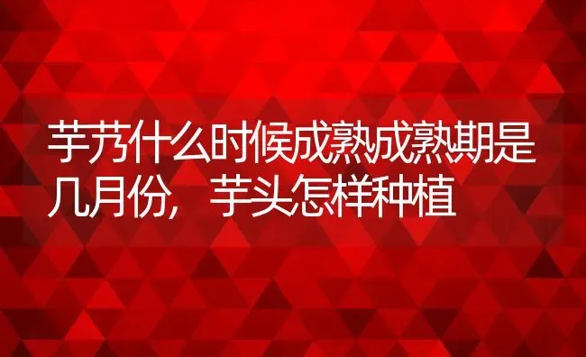 芋艿什么时候成熟成熟期是几月份,芋头怎样种植 | 养殖学堂