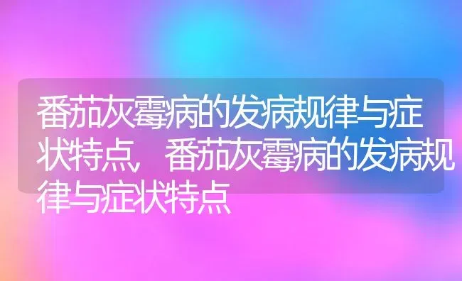 番茄灰霉病的发病规律与症状特点,番茄灰霉病的发病规律与症状特点 | 养殖科普