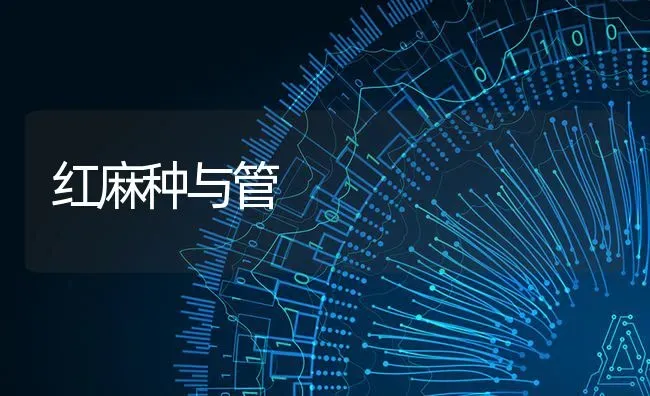 红麻种与管 | 养殖技术大全