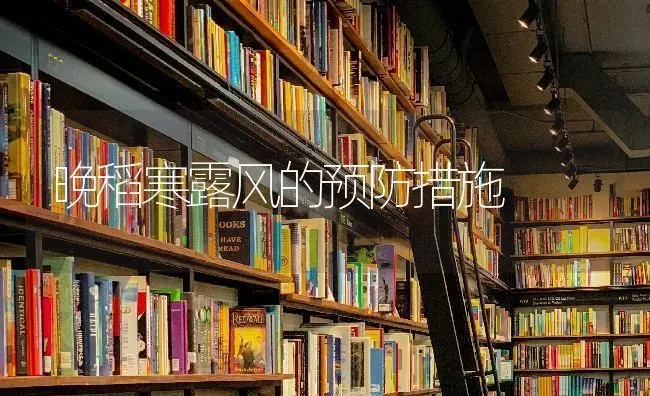 晚稻寒露风的预防措施 | 养殖技术大全