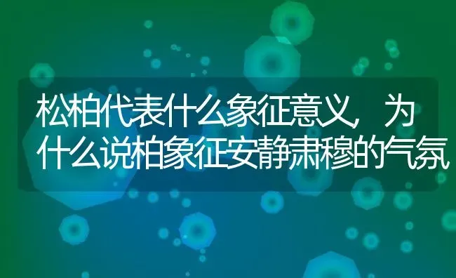 松柏代表什么象征意义,为什么说柏象征安静肃穆的气氛 | 养殖学堂