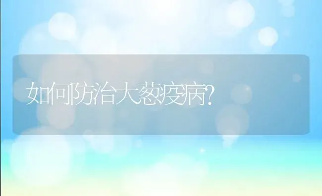 如何防治大葱疫病? | 养殖技术大全