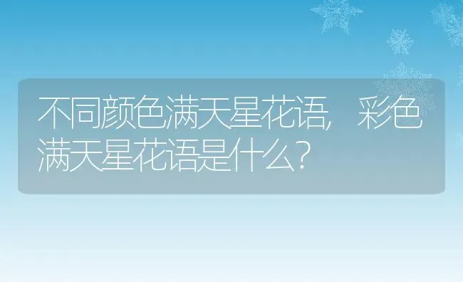 不同颜色满天星花语,彩色满天星花语是什么？ | 养殖科普