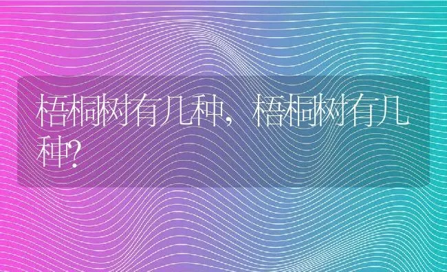 梧桐树有几种,梧桐树有几种？ | 养殖科普