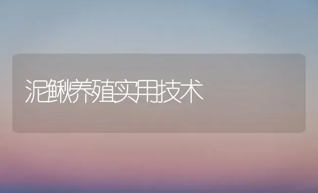 泥鳅养殖实用技术 | 养殖知识