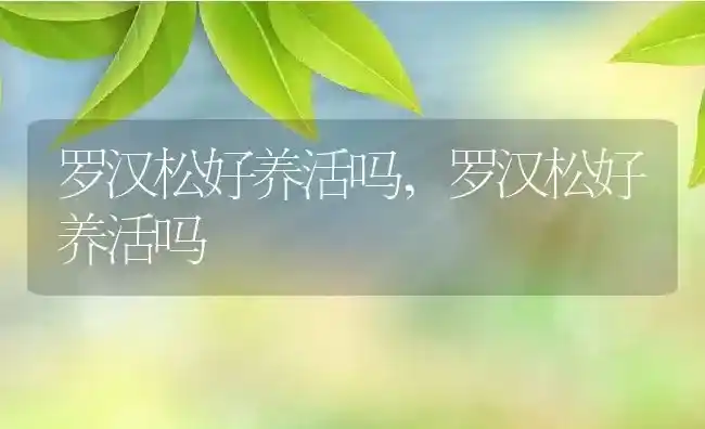 罗汉松好养活吗,罗汉松好养活吗 | 养殖科普