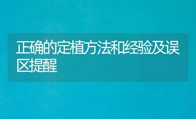 正确的定植方法和经验及误区提醒 | 养殖知识