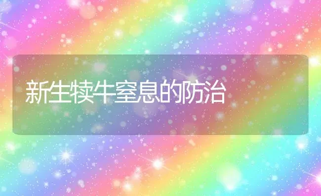 新生犊牛窒息的防治 | 养殖知识