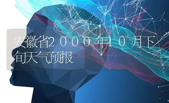 安徽省2000年10月下旬天气预报 | 养殖技术大全