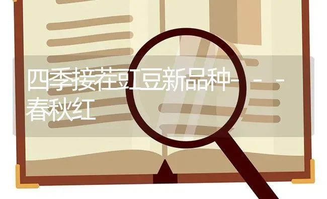 四季接茬豇豆新品种---春秋红 | 养殖技术大全