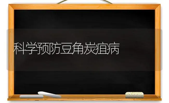 科学预防豆角炭疽病 | 养殖知识