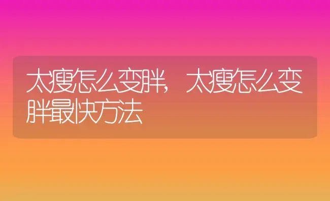 太瘦怎么变胖,太瘦怎么变胖最快方法 | 养殖科普