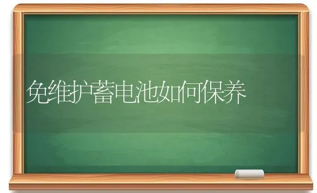 免维护蓄电池如何保养 | 养殖技术大全