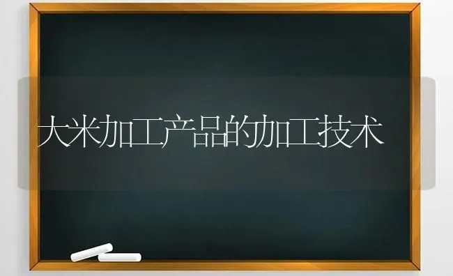 大米加工产品的加工技术 | 养殖技术大全