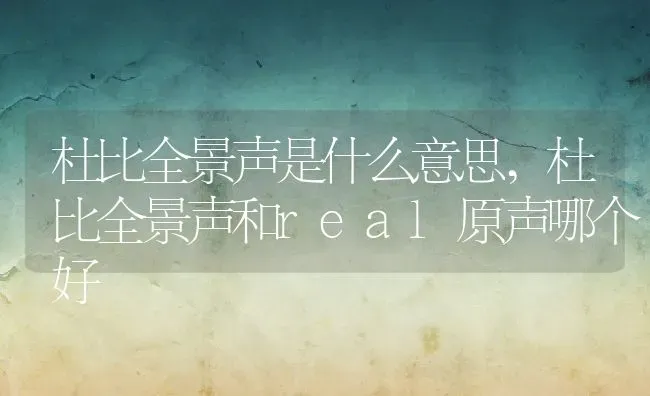 杜比全景声是什么意思,杜比全景声和real原声哪个好 | 养殖学堂
