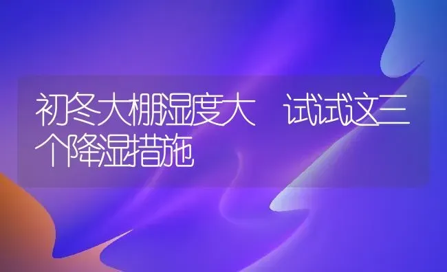 初冬大棚湿度大 试试这三个降湿措施 | 养殖技术大全