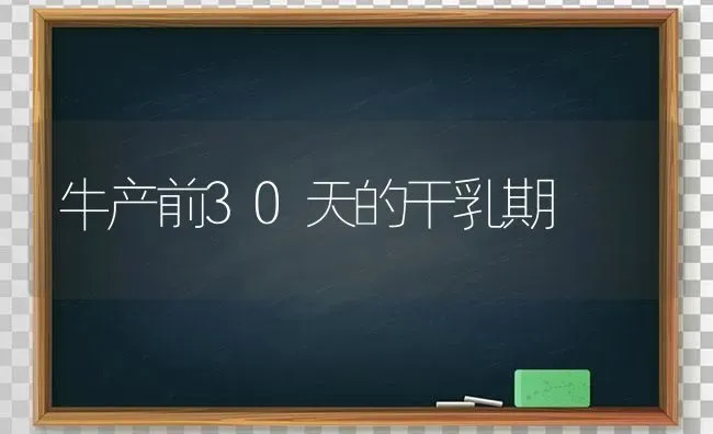 牛产前30天的干乳期 | 养殖技术大全