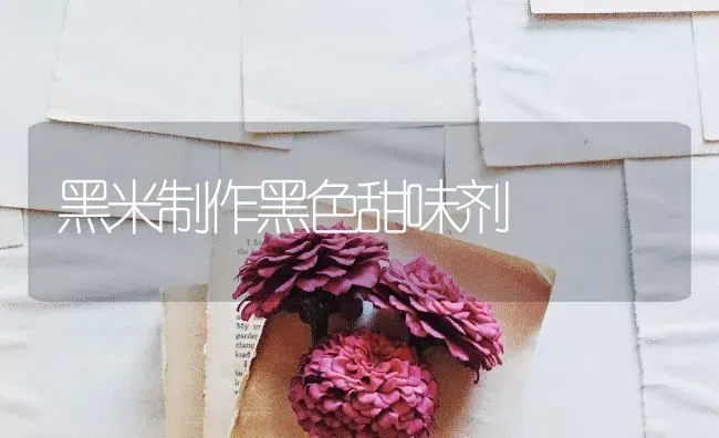 黑米制作黑色甜味剂 | 养殖知识