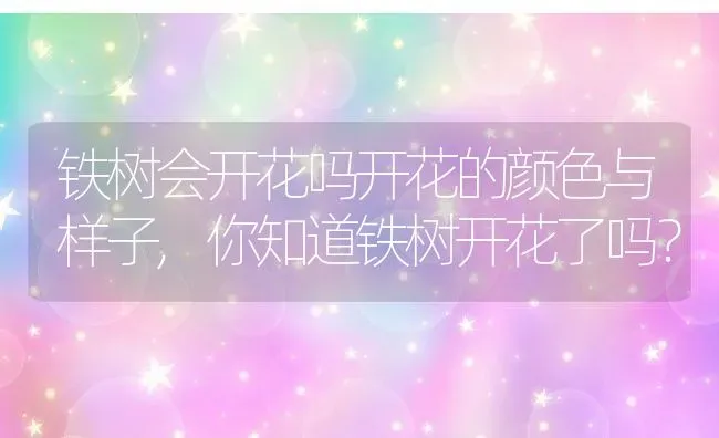 铁树会开花吗开花的颜色与样子,你知道铁树开花了吗？ | 养殖科普