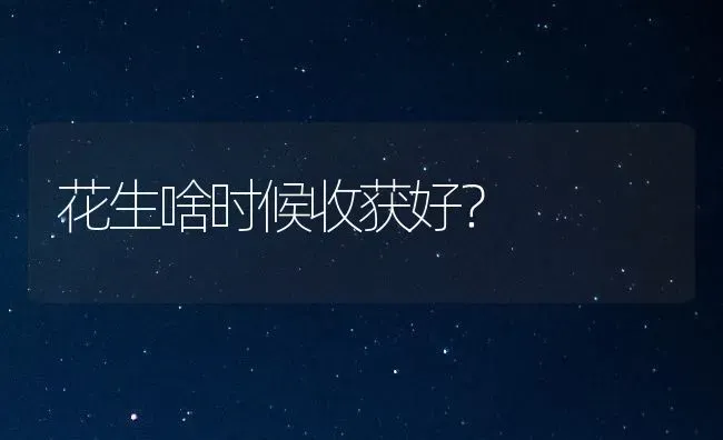 花生啥时候收获好? | 养殖知识