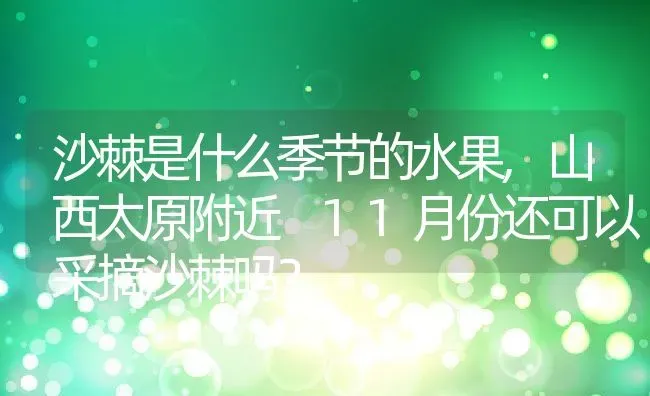 沙棘是什么季节的水果,山西太原附近 11月份还可以采摘沙棘吗？ | 养殖科普