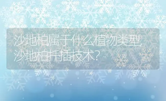 沙地柏属于什么植物类型,沙地柏扦插技术？ | 养殖科普