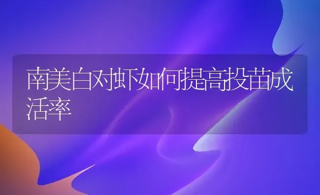 南美白对虾如何提高投苗成活率 | 养殖技术大全