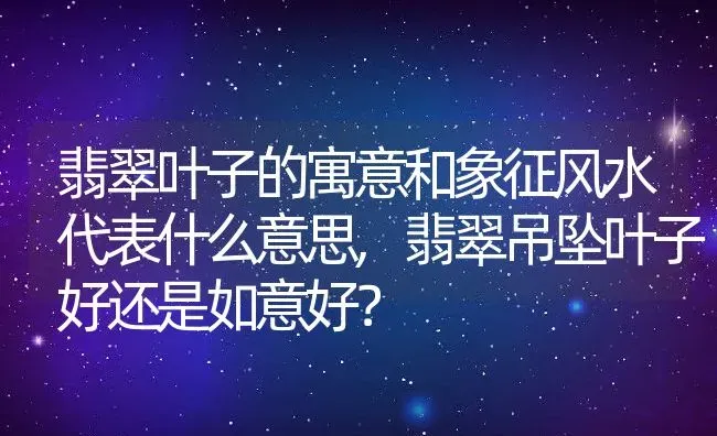 翡翠叶子的寓意和象征风水代表什么意思,翡翠吊坠叶子好还是如意好？ | 养殖科普